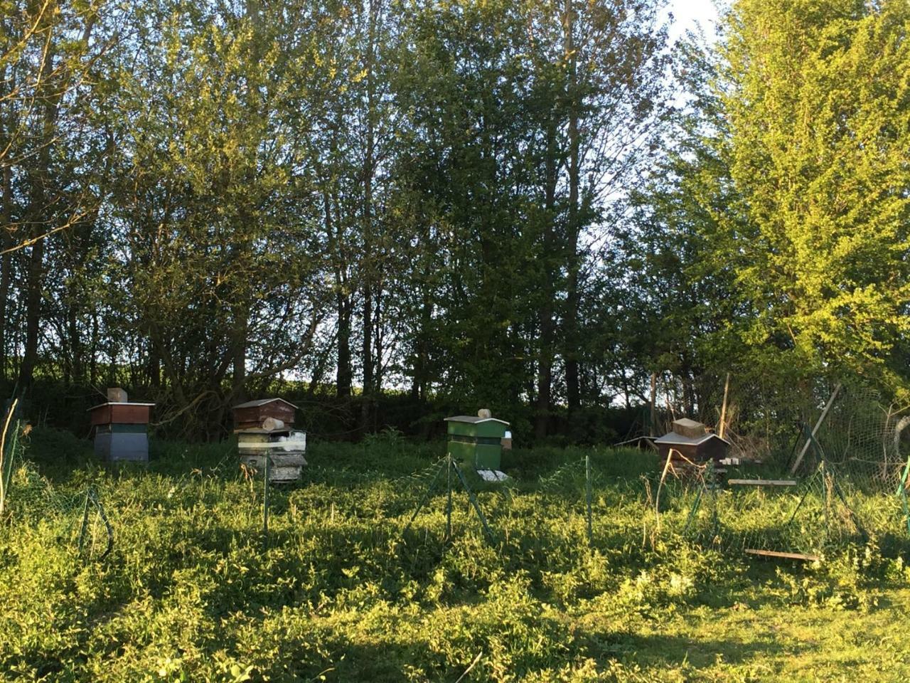 La Ferme Des Moulineaux Ξενοδοχείο Bailly  Εξωτερικό φωτογραφία